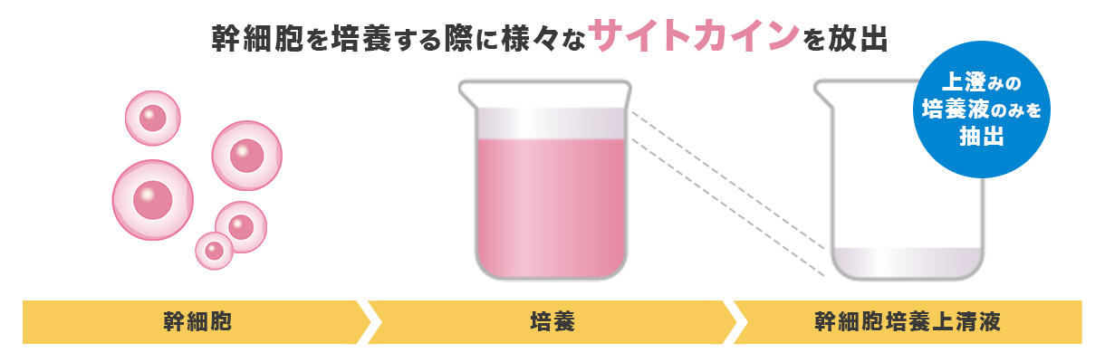 幹細胞培養上清液とは